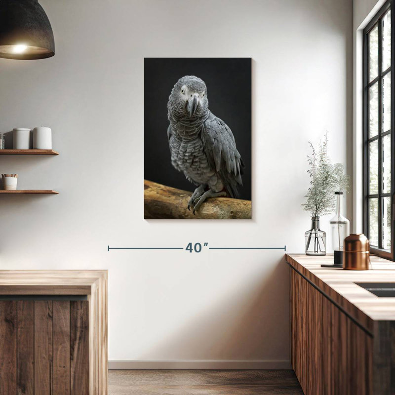 Brampt Congo Grey Parrot, 36" H x 24" W