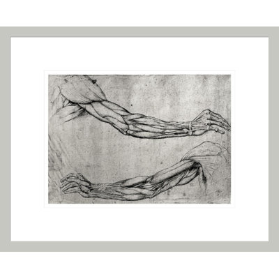 Study of Arms by Leonardo da Vinci -Framed Giclee Print