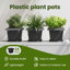 Planter-1849224910-1849224912-1849224924