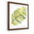 Maple Framed Print