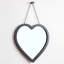 Heart Mirror