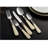 ANNOVA Stainless Steel Flatware Set - Service for 6