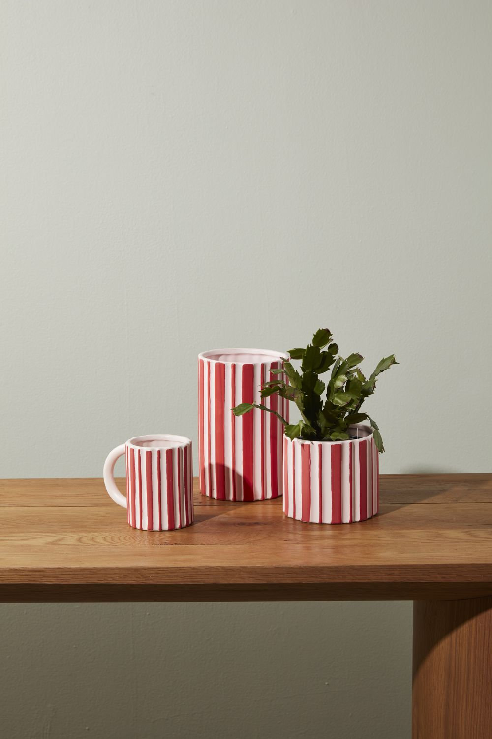 Ceramic Pot Planter