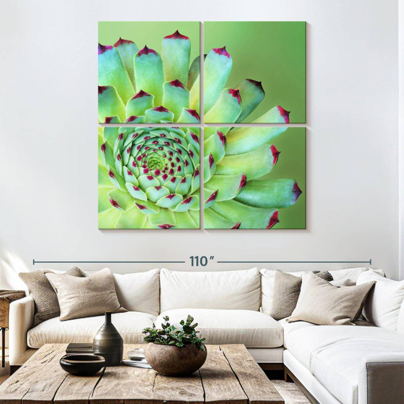 Exotic Succulent, 74" H x 74" W