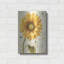 «Under The Sun I» par Lisa Audit-566106436