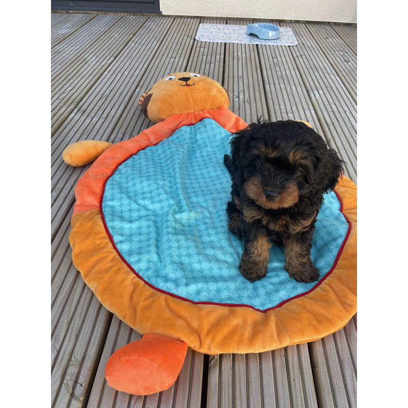 Nikki Polyester Pet Bed