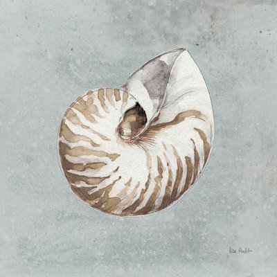Sable et coquillages I