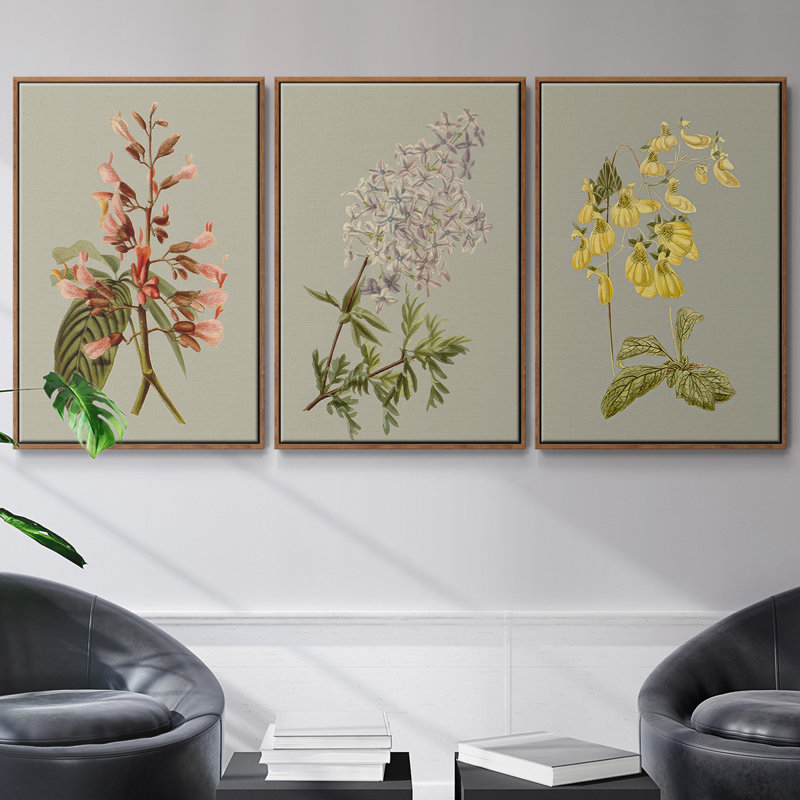Botanical Array II - ensemble de 3 reproductions de photo sur toile, Noyer, H 40 po x l 78 po