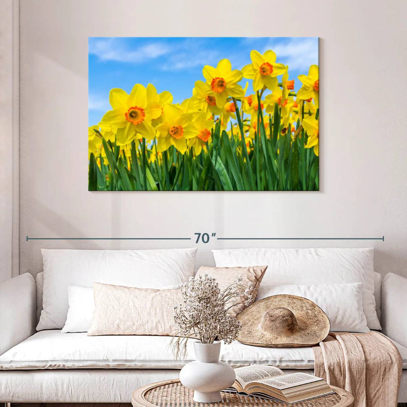 Jonquilles d'été Harnek, H 30 po x l 45 po