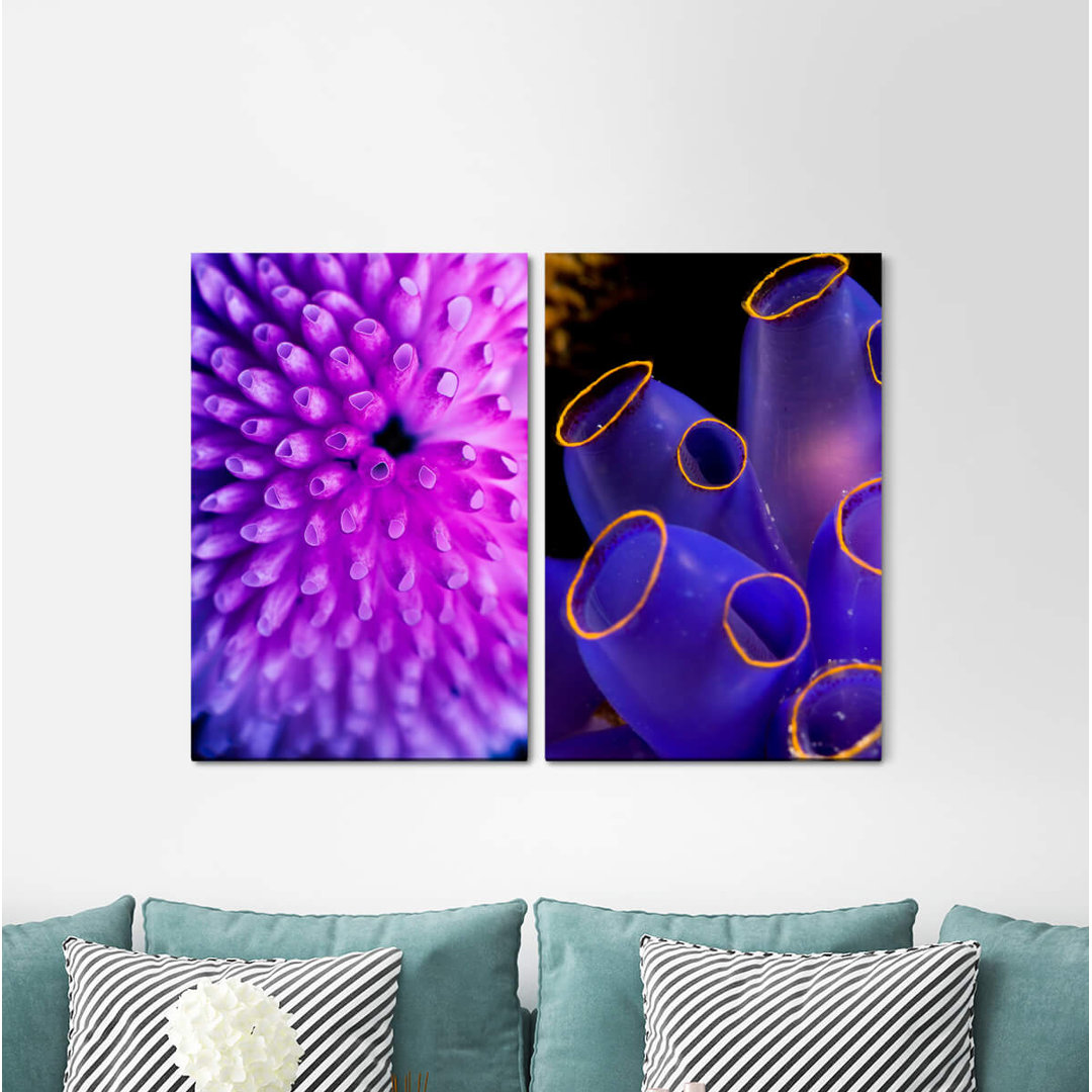 2-tlg. Leinwandbilder-Set - Fotografie „Coral Reef Underwater Violet Aquarium Blue”