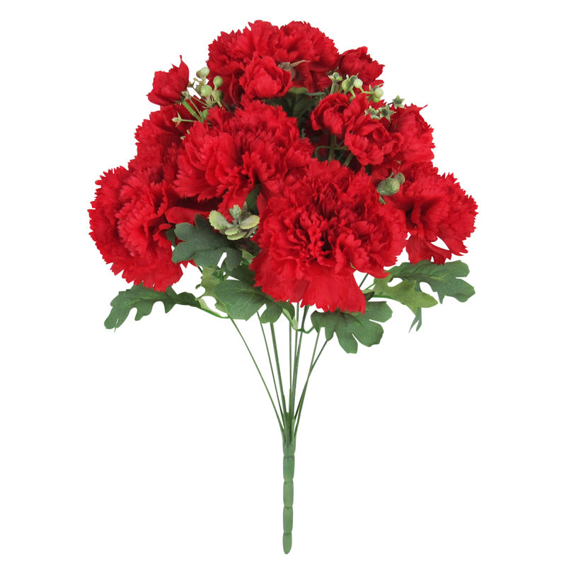 Oeillet, Rouge