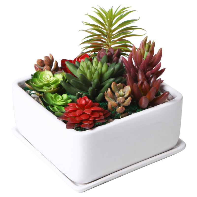 Pot de fleurs d'intérieur en céramique Hens, Blanc