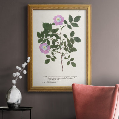 " Nature Printed Botanicals X "