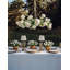 Jasmira Round Garden Chandelier