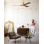 Nan 42" Ceiling Fan In Blades-1662758411-1611395866