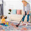 Tapis crème à poils courts 6 x 9 po pour animaux de compagnie, pour salon, chambre à coucher, tapis crème, sans perte de poils