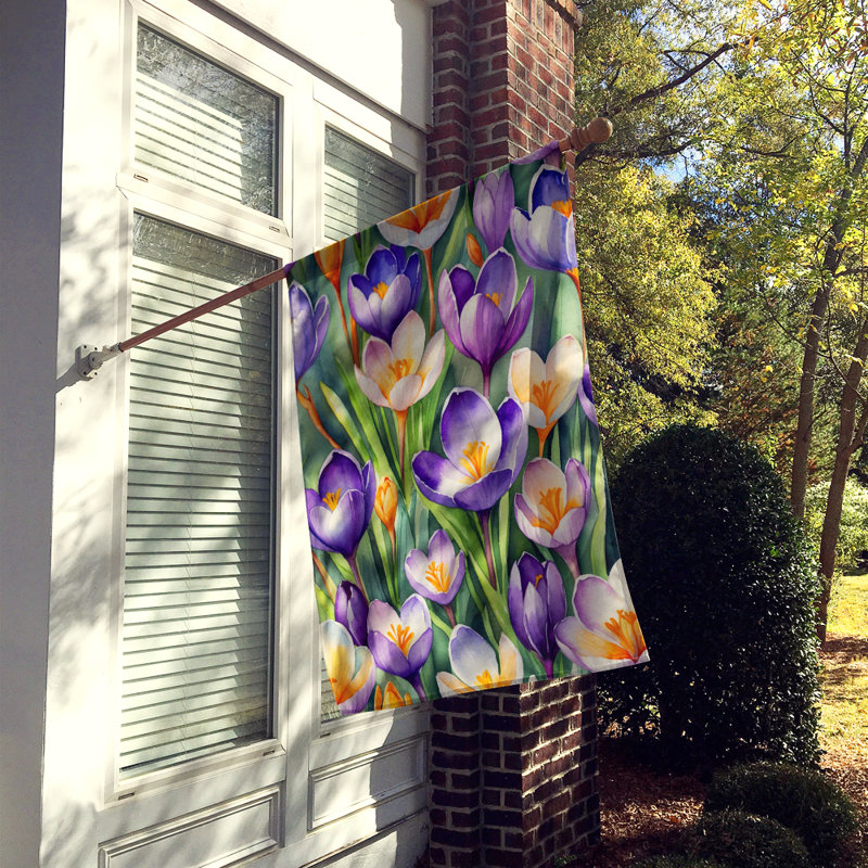 Drapeau de maison de fleurs Liatris, Fleurs de crocus