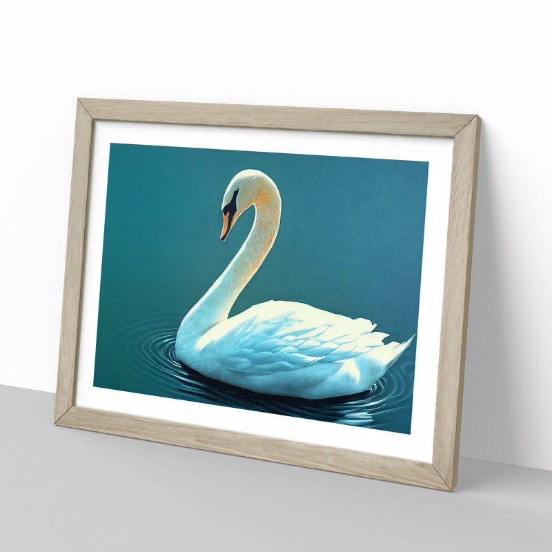 Luscious Swan - Single Picture Frame Print, 25cm H x 34cm W, Grey