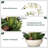 Silk Orchid Arrangement In Pot-2061129424