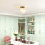 Glass Flush Mount