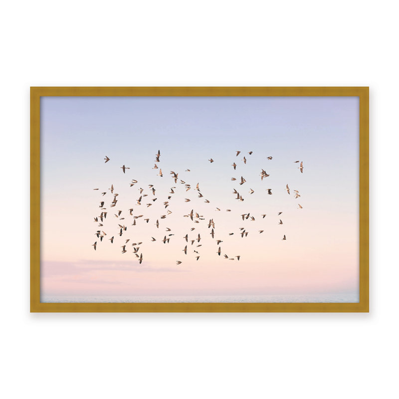 Nature Inspired Sunset Flight by  - Picture Frame Photograph on Paper, 32" H x 48" W x 1.125" D, Framed Print, White