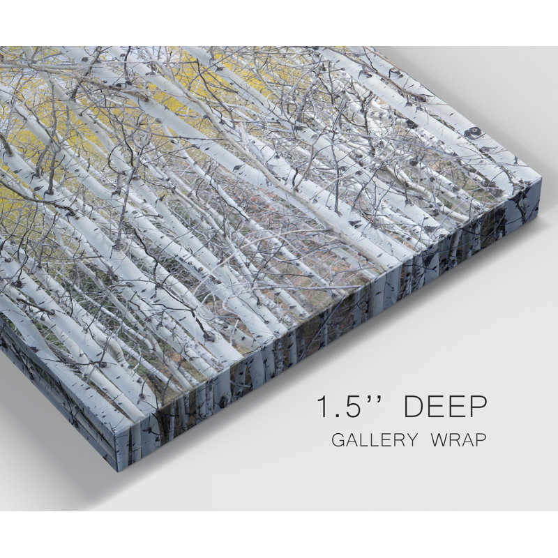 Mountain Aspen - reproduction de photo sur toile tendue, H 32 po x l 32 po x P 1 po