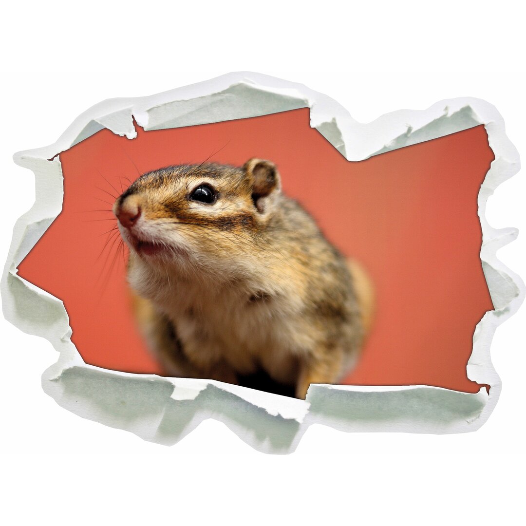 Niedlicher Chipmunk Wandaufkleber