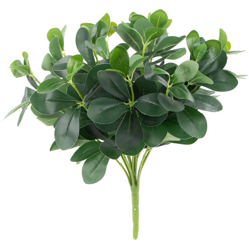 18" Decorative Artificial Green Two Tone Polyscias Floral Bush