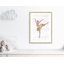 Ballet toute la journée 3-48187468-48163335