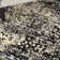 Burnie Oriental Black/Cream Area Rug