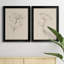 Floral Contour Study III, reproduction encadrée de qualité supérieure - prête à être accrochée-78609207-78609206