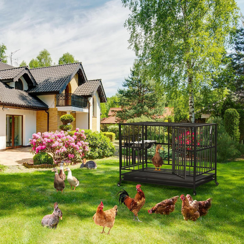 Cage pour chien à structure métallique avec 2 bols réglables