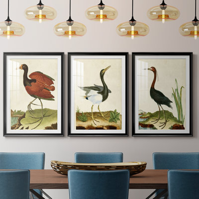 Heron Portrait IV  -Custom Framed  Premium Print W Matt - 3 Pieces