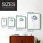 "Tulipe I"-1124626511-1124626509