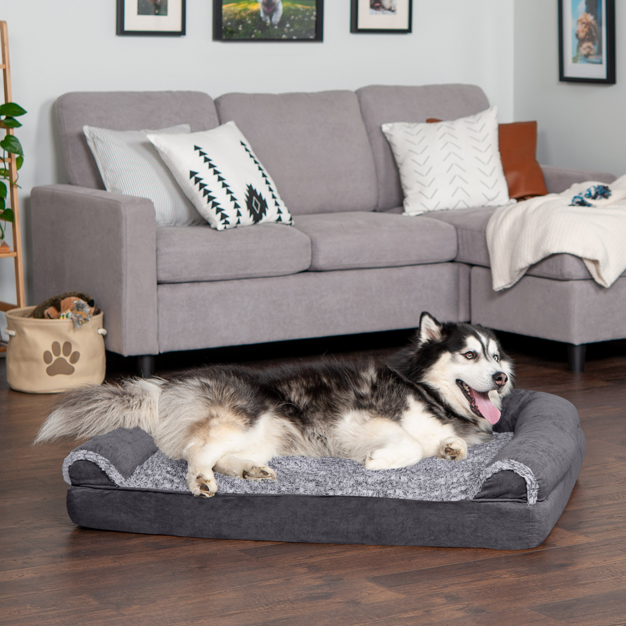 https://assets.wfcdn.com/im/32456424/compr-r85/1310/131033988/two-tone-faux-fur-suede-sofa-pet-bed.jpg