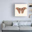 «Michael Willett Watercolor Moths II», art sur toile-561357598