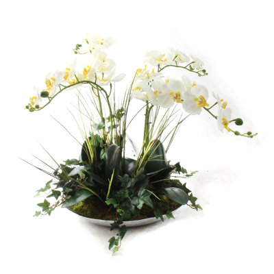 Silk Orchids Arrangement