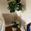 Photos des clients 1 de 2