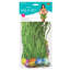 Ensemble adulte Hula