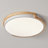 Acrylic LED Flush Mount-1520321321