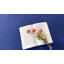 Waterproof Fitted Sheet Mattress Protector-1900174299-1900174246