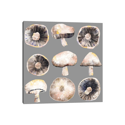 Mushrooms by Nic Squirrell - Wrapped Canvas Print