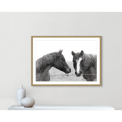 " Wild Pastures " Black and White Photography Print