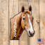 Support mural cheval