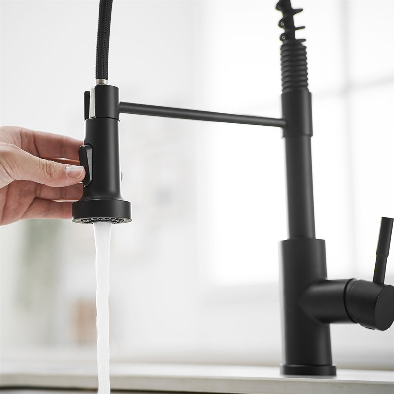 Robinet de cuisine avec douchette extractible en acier inoxydable, Noir