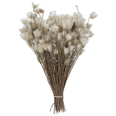 Mixed Assortment Floral Arrangement