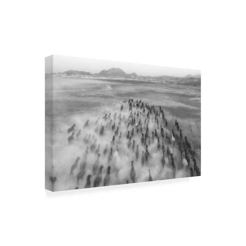 Art sur toile Aumitcanan Rush Hour, H 12 po x l 19 po