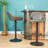 Winfield Swivel Upholstered Adjustable Height Counter Stool with Metal Frame-31916400