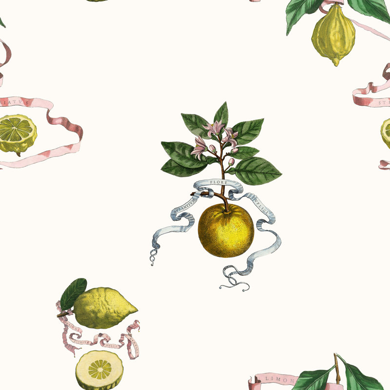 Lemon Toile 33' L x 20.5" W Wallpaper Roll, Cream