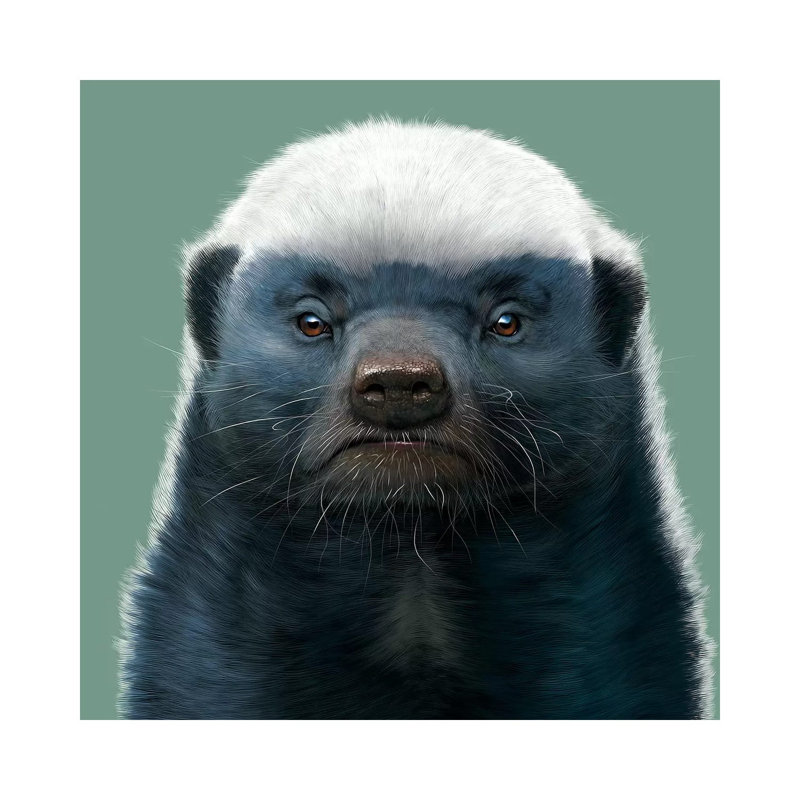 « Honey Badger » par Vincent HIE-impression d’art graphique, H 37 po x l 37 po x P 1,5 po, Toile tendue